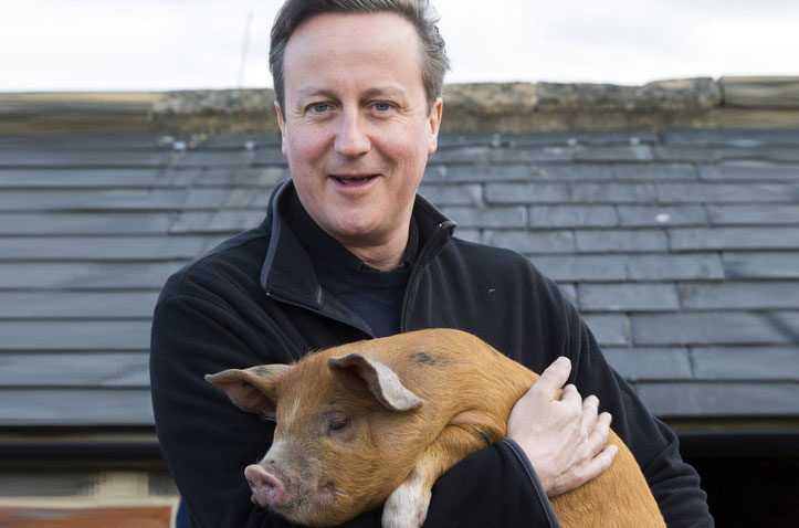 david cameron pig fucker mini challenge