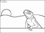 colour the lizard